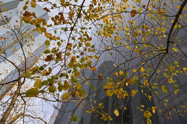 Photograph Jure Kravanja Autumn on One Eyeland